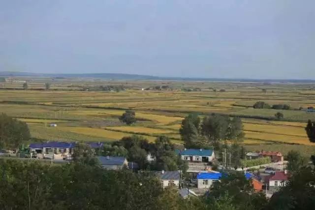 莫力达瓦我的家,莫力达瓦官网