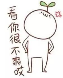 婚礼管理类app哪个好,小众婚礼app