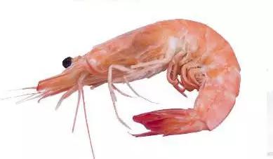 怎样才有南通户口,南通城市户口政策