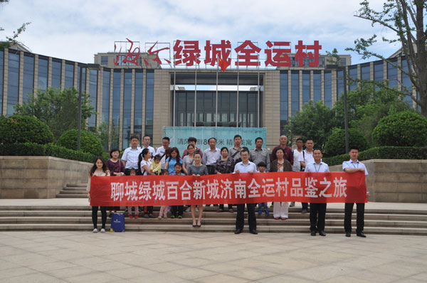 聊城绿城百合新城,聊城绿城百合新城利弊