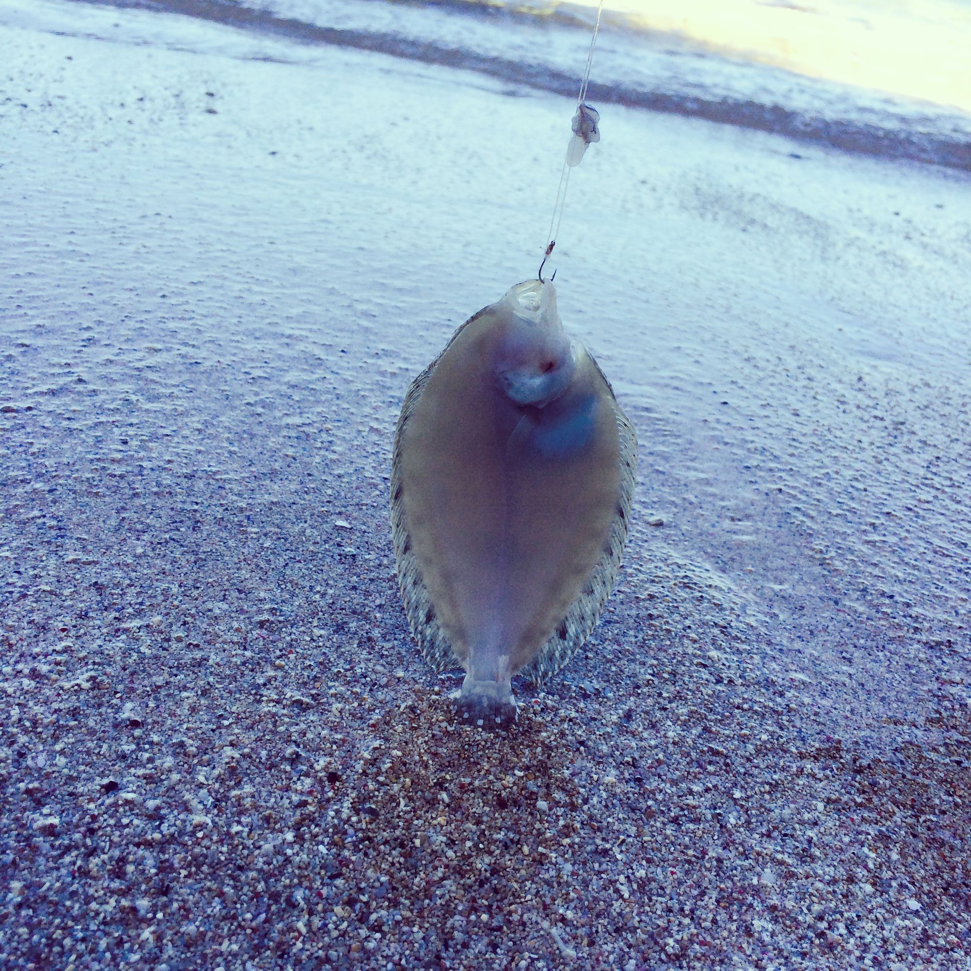 香港f4周渝民朱孝天吴建豪言承旭,朱孝天巴厘岛婚礼