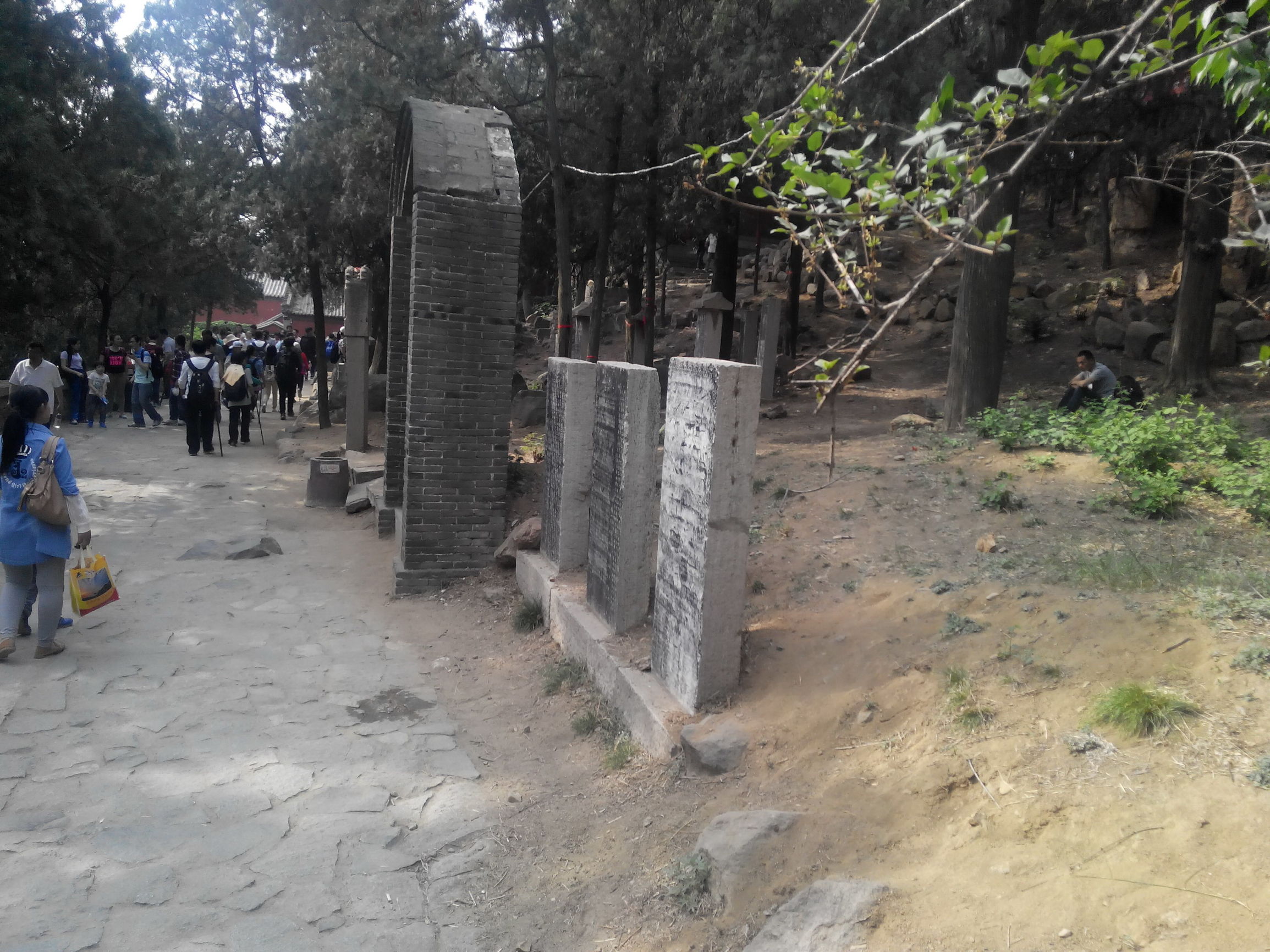 天津去泰山自由行攻略,天津泰山旅游攻略自助游