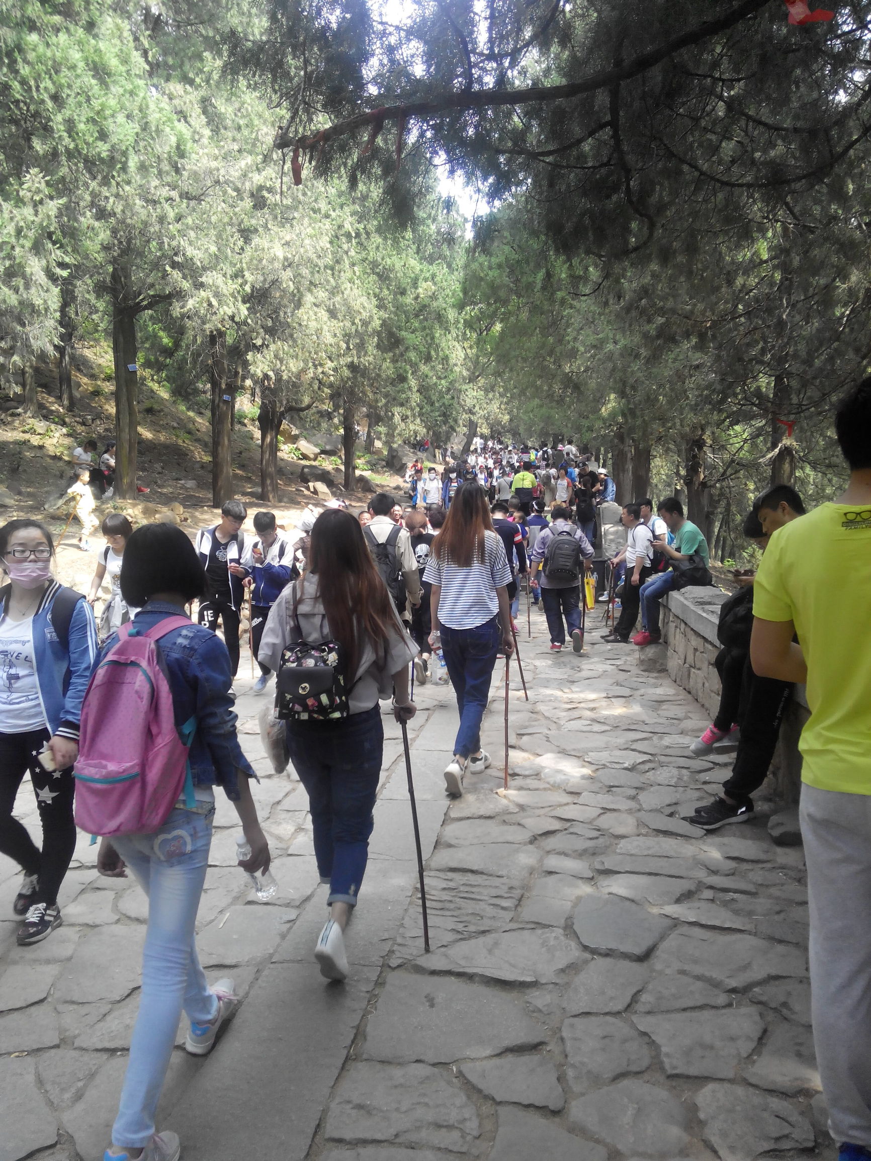 天津去泰山自由行攻略,天津泰山旅游攻略自助游