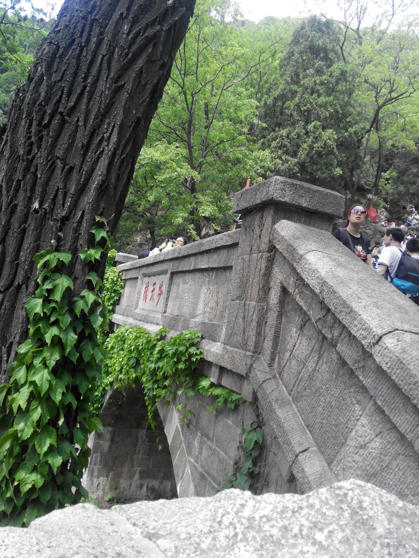 天津去泰山自由行攻略,天津泰山旅游攻略自助游