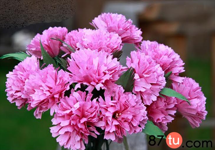 教师节手工制作大全创意康乃馨,教师节礼物手工制作康乃馨简单