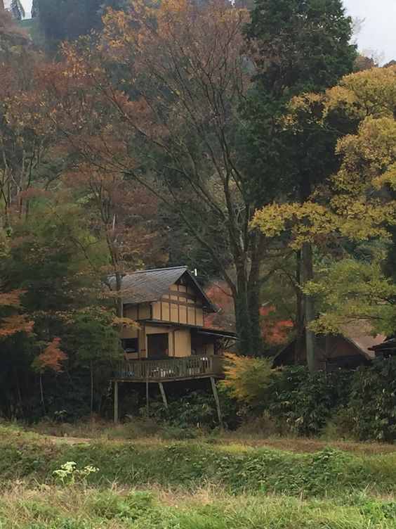 熊本熊长大后的样子,四只熊本熊图片