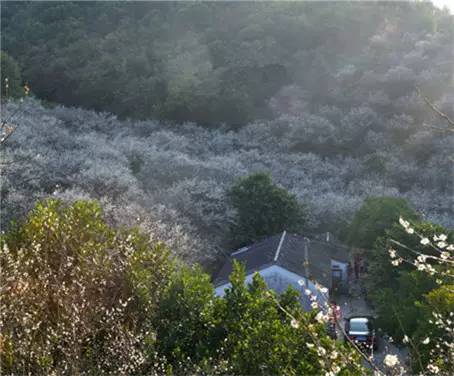 广州公交新福利,广州交通优惠调整
