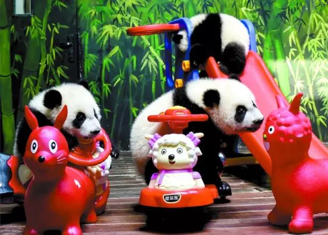 长隆适合小朋友玩的地方,长隆有哪些小朋友可以玩的项目