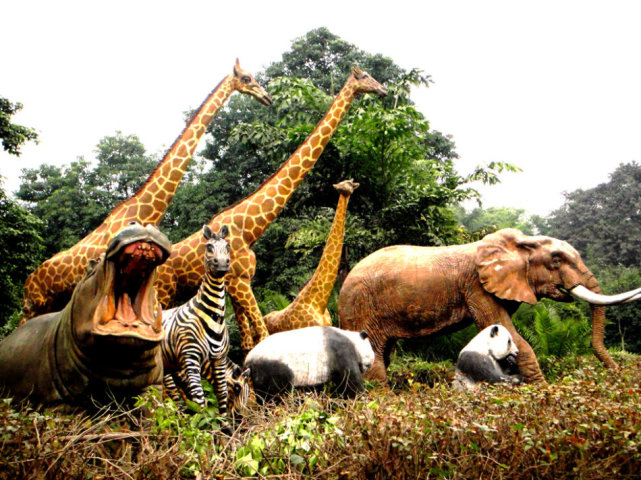 儿童节带小朋友去哪里重庆,儿童节攻略重庆