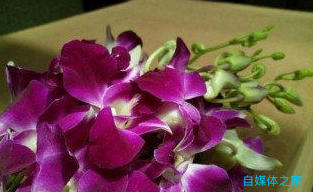 三星galaxyc5内部,三星c5评测