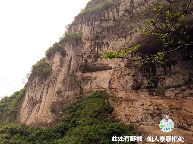 千名导游说宜昌清江画廊,清江画廊是否值得去