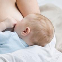 最好的下奶偏方大全,母牛下奶最快的偏方