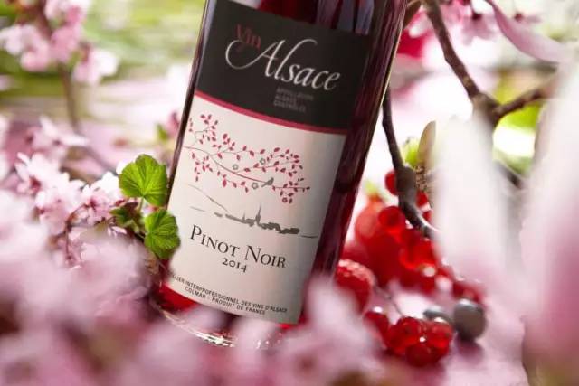 耐心看完你会感动吗,四大顶级黑皮诺葡萄酒