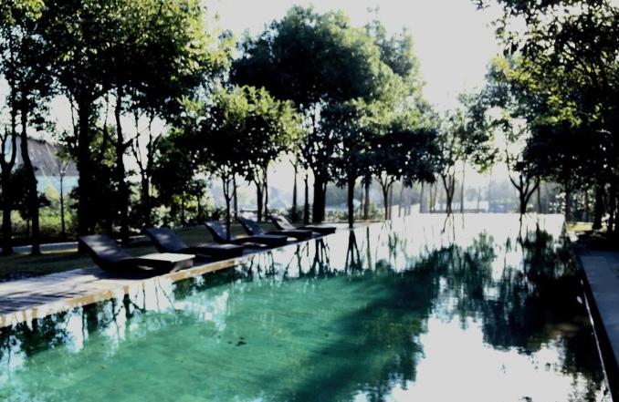 棣欐鍒搴﹀亣閰掑簵,鍗椾含棣欐鍗庤嫻閰掑簵浠嬬粛