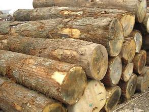 橡木浴室柜的缺点容易开裂吗,橡木浴室柜的优缺点价格