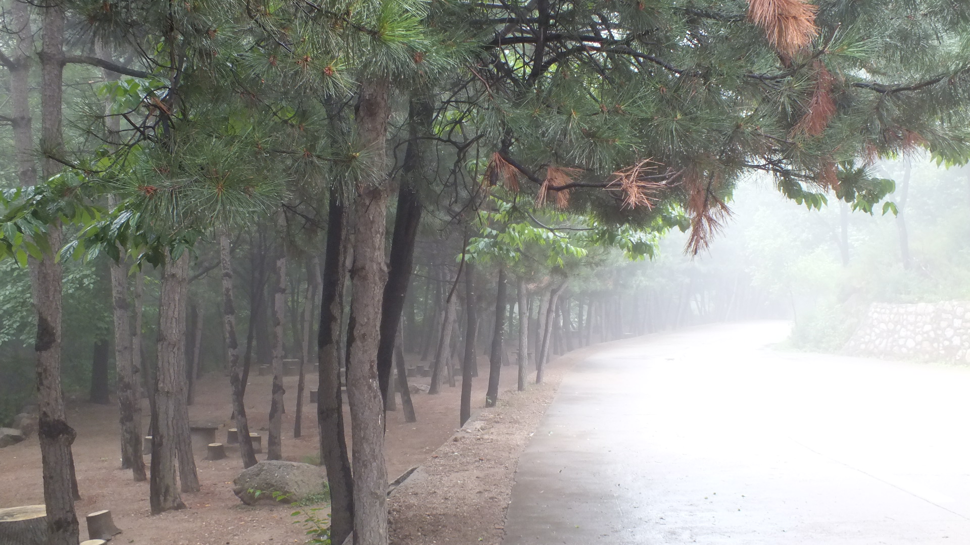 雨中的长白山美景描写,雨中天池