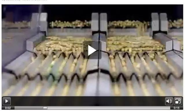 吃澳洲葡萄籽的副作用,吃澳洲维生素有用吗