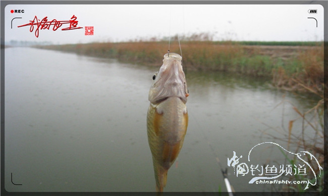风雨无阻之我爱飞鱼去‘*欢寻**’!