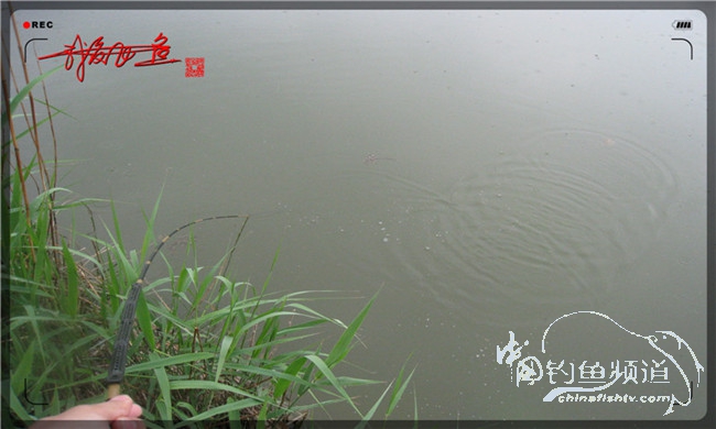 风雨无阻之我爱飞鱼去‘*欢寻**’!