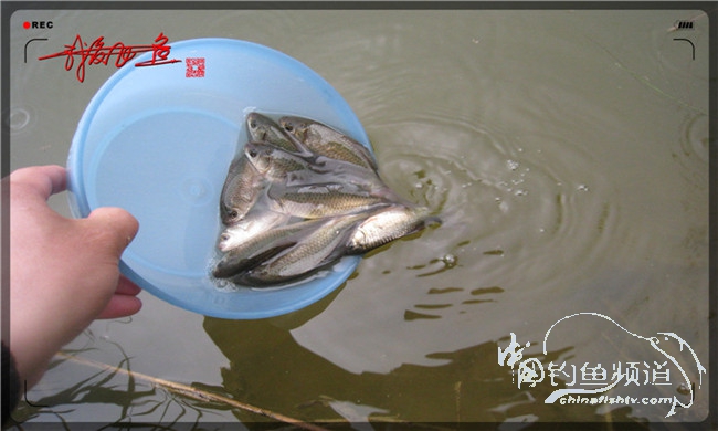 风雨无阻之我爱飞鱼去‘*欢寻**’!