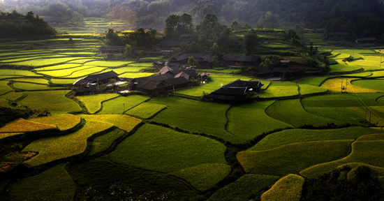 湖南张家界在哪个市,张家界风景区在哪