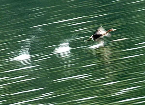 四川哪里有冷门又好玩的地方,四川最漂亮十大湖