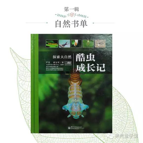 带小孩出去玩要小心一些什么虫,虫子带孩子去哪里玩比较好