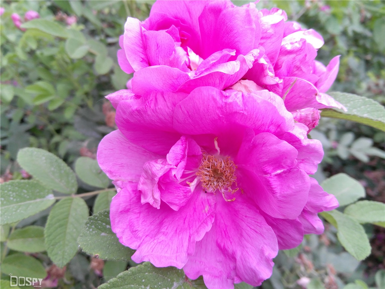 智玩部落：骁龙820无惧挑战小屏新旗舰联想ZUKZ2评测