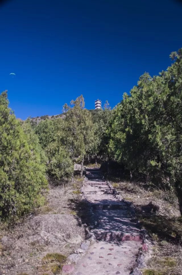 蟒山森林公园小东江,莽山森林公园萤火虫