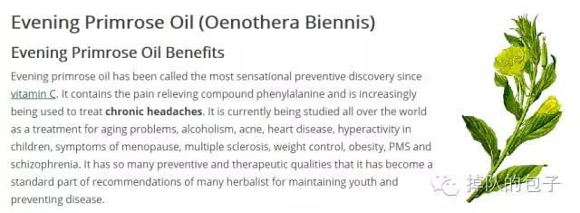 迷之月见草——那些代购不会告诉你的月见草知识全科普