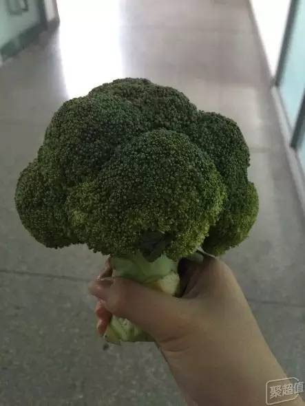 真空料理机和原汁机有什么区别,破壁料理机和原汁机哪个好