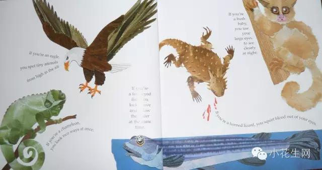 有什么书可以提升孩子的理解能力,儿童绘本阅读小干货