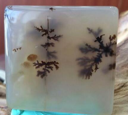 海洋玉髓越来越受欢迎,精华海洋玉髓