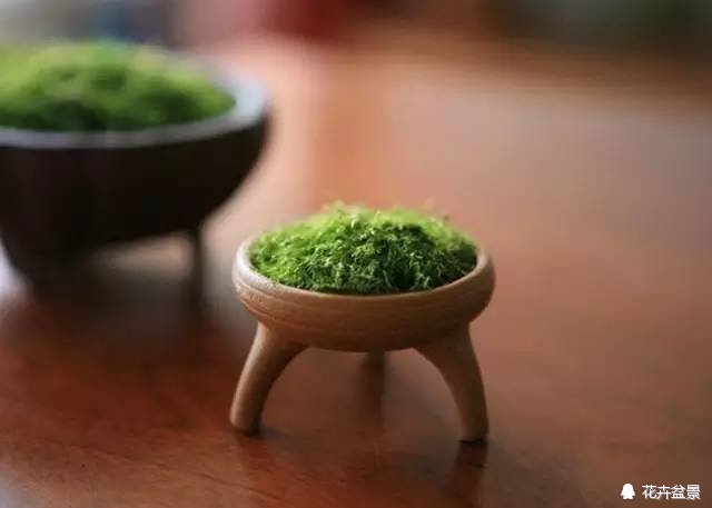 苔痕上阶绿草色入帘青妙在哪里,苔痕上阶绿草色入帘青全文