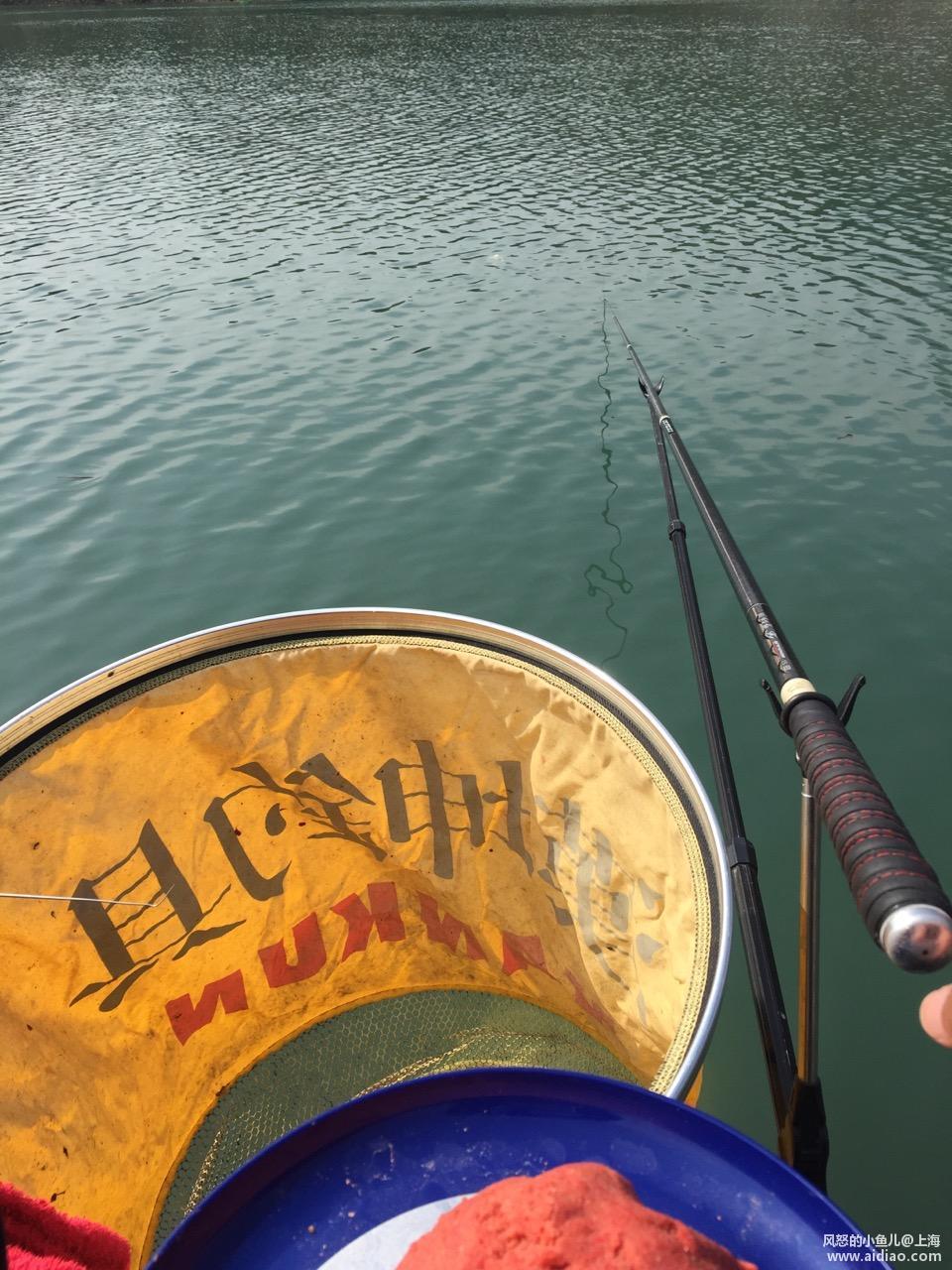 游钓太平湖视频,游钓太平湖