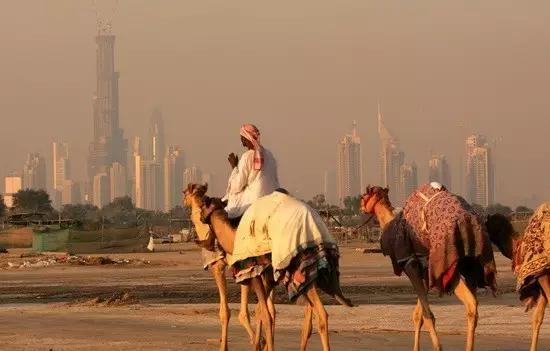 一广州人去迪拜，但最后回来哭着说