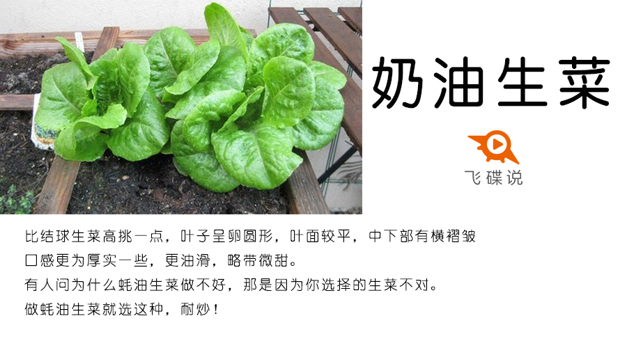 生菜煮熟了致癌吗,生菜煮熟生味很重