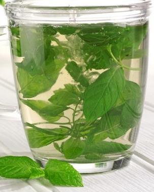 阳台仙草的种植方法,阳台上的仙草石斛