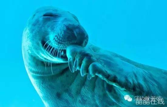 北华大学毕业照如此多彩看咱吉林学生多有才