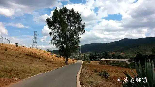 弥渡寅街黄粉多少钱一盒,弥渡寅街黄粉锅巴