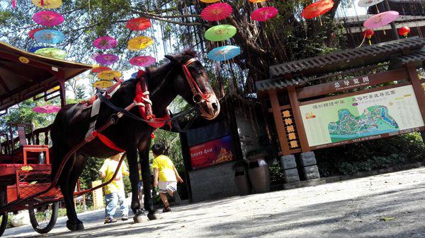 锦绣中华泼水节，一不小心踏遍了整个中国