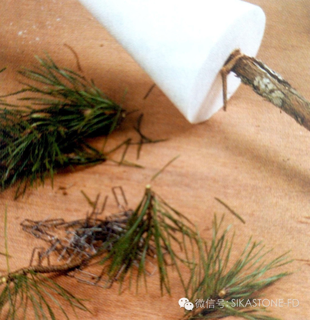 创意花艺教程简单易学,自然式花艺制作全过程