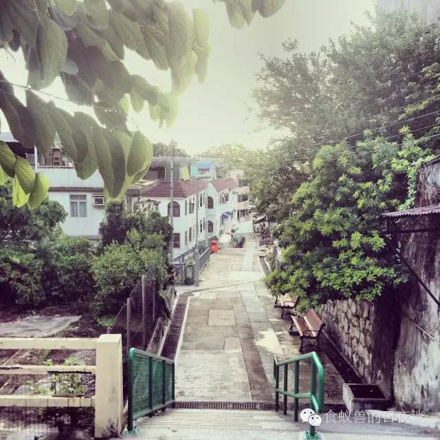 旅行自拍文艺范,假期旅游小清新治愈系