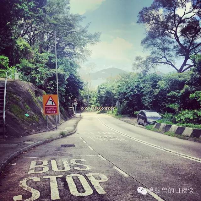 旅行自拍文艺范,假期旅游小清新治愈系