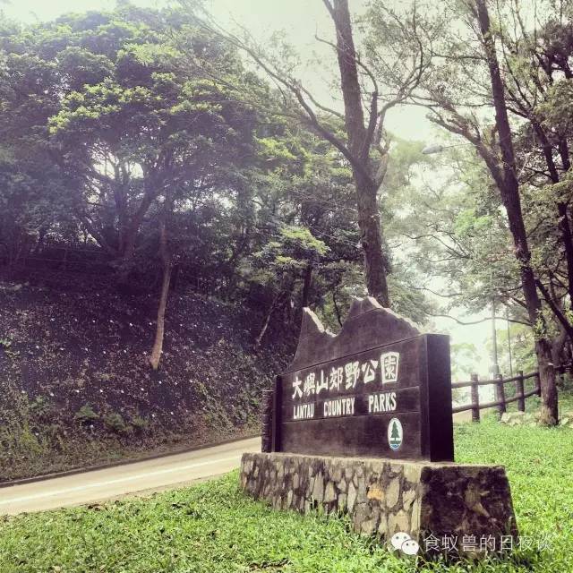 旅行自拍文艺范,假期旅游小清新治愈系