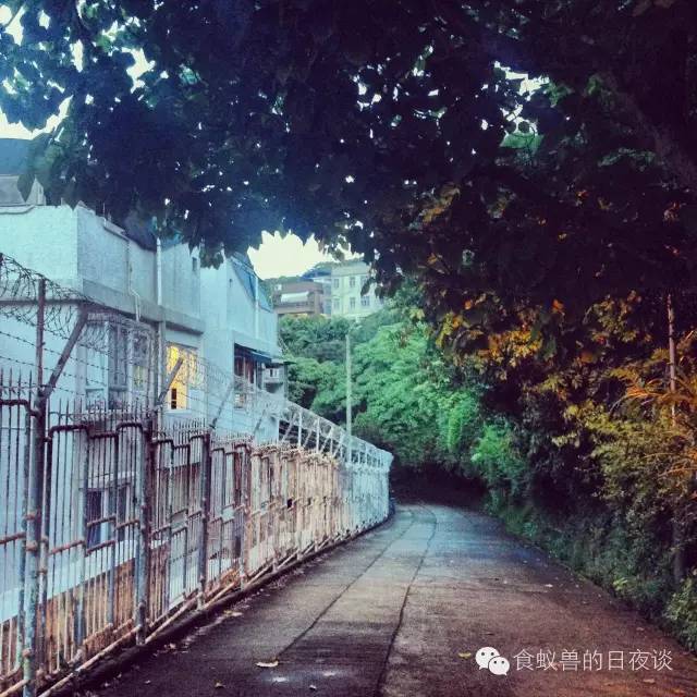 旅行自拍文艺范,假期旅游小清新治愈系