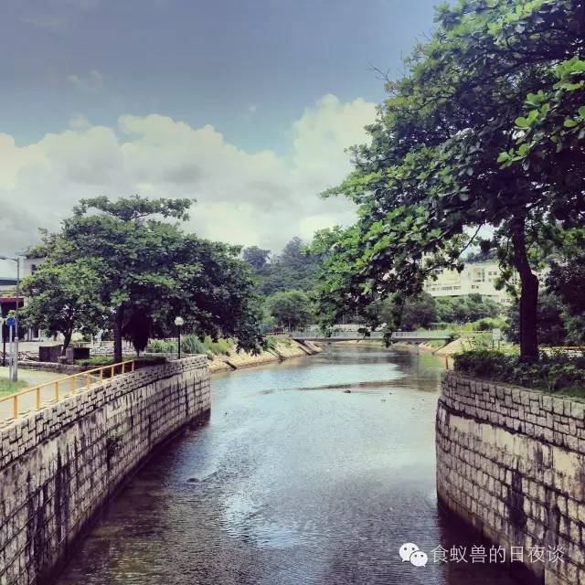 旅行自拍文艺范,假期旅游小清新治愈系