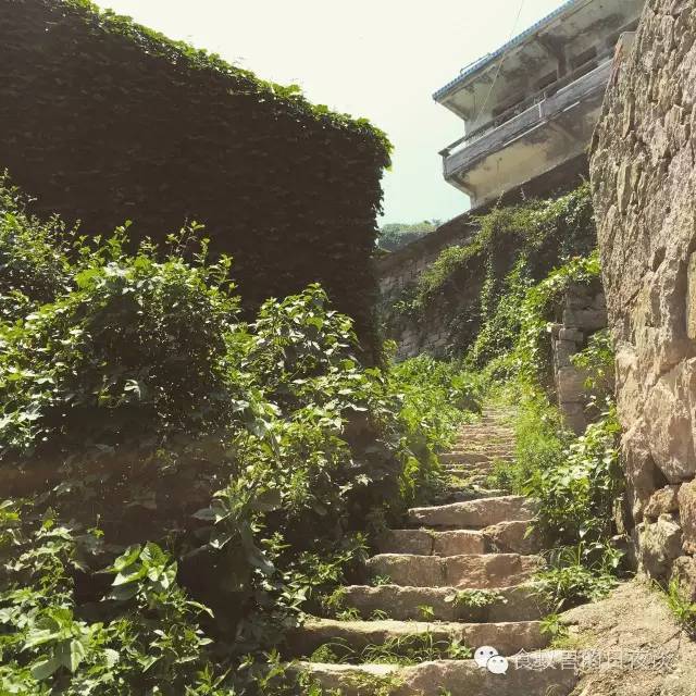 旅行自拍文艺范,假期旅游小清新治愈系