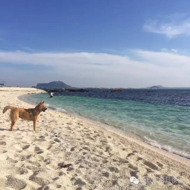 旅行自拍文艺范,假期旅游小清新治愈系