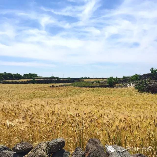 旅行自拍文艺范,假期旅游小清新治愈系